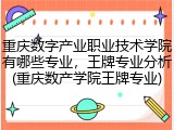 重庆数字产业职业技术学院有哪些专业，王牌专业分析(重庆数产学院王牌专业)