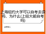上海纽约大学可以自考去读吗，为什么(上纽大能自考吗)