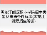 黑龙江能源职业学院招生类型及申请条件解读(黑龙江能源招生解读)