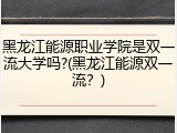 黑龙江能源职业学院是双一流大学吗?(黑龙江能源双一流？)