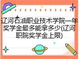 辽河石油职业技术学院一年奖学金最多能拿多少(辽河职院奖学金上限)