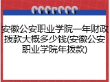 安徽公安职业学院一年财政拨款大概多少钱(安徽公安职业学院年拨款)