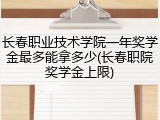 长春职业技术学院一年奖学金最多能拿多少(长春职院奖学金上限)