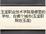 玉溪职业技术学院是哪里的学校，在哪个城市(玉溪职院在玉溪)