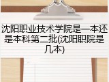 沈阳职业技术学院是一本还是本科第二批(沈阳职院是几本)