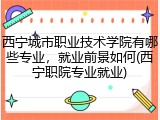 西宁城市职业技术学院有哪些专业，就业前景如何(西宁职院专业就业)