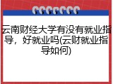 云南财经大学有没有就业指导，好就业吗(云财就业指导如何)
