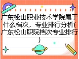 广东松山职业技术学院属于什么档次，专业排行分析(广东松山职院档次专业排行)