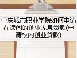 重庆城市职业学院如何申请在读间的创业无息贷款(申请校内创业贷款)