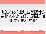 山东文化产业职业学院什么专业就业比较好，原因是啥(山文好就业专业)