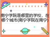 南宁学院是哪里的学校，在哪个城市(南宁学院在南宁)