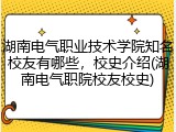 湖南电气职业技术学院知名校友有哪些，校史介绍(湖南电气职院校友校史)