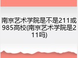 南京艺术学院是不是211或985高校(南京艺术学院是211吗)