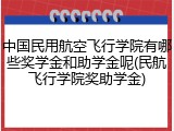 中国民用航空飞行学院有哪些奖学金和助学金呢(民航飞行学院奖助学金)