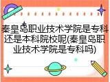 秦皇岛职业技术学院是专科还是本科院校呢(秦皇岛职业技术学院是专科吗)