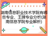 湖南信息职业技术学院有哪些专业，王牌专业分析(湖南信息学院专业解析)