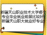 新疆天山职业技术大学哪个专业毕业就业前景比较好(新疆天山职大就业好专业)