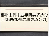 郴州思科职业学院要多少分才能进(郴州思科录取分数)