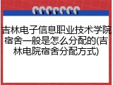 吉林电子信息职业技术学院宿舍一般是怎么分配的(吉林电院宿舍分配方式)