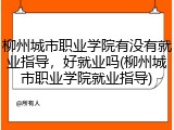 柳州城市职业学院有没有就业指导，好就业吗(柳州城市职业学院就业指导)