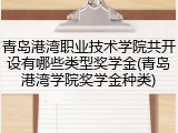 青岛港湾职业技术学院共开设有哪些类型奖学金(青岛港湾学院奖学金种类)
