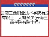 云南三鑫职业技术学院有没有院士，大概多少(云南三鑫学院有院士吗)