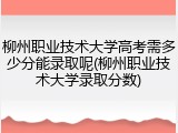 柳州职业技术大学高考需多少分能录取呢(柳州职业技术大学录取分数)