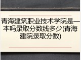 青海建筑职业技术学院是一本吗录取分数线多少(青海建院录取分数)