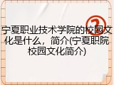 宁夏职业技术学院的校园文化是什么，简介(宁夏职院校园文化简介)