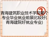 青海建筑职业技术学院哪个专业毕业就业前景比较好(青海建院好就业专业)
