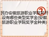 民办安徽旅游职业学院共开设有哪些类型奖学金(安徽旅游职业学院奖学金种类)