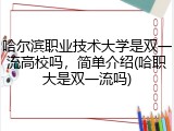 哈尔滨职业技术大学是双一流高校吗，简单介绍(哈职大是双一流吗)