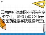 云南医药健康职业学院有多少学生，师资力量如何(云南医药健康学院规模师资)