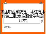 枣庄职业学院是一本还是本科第二批(枣庄职业学院是几本)