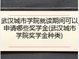 武汉城市学院就读期间可以申请哪些奖学金(武汉城市学院奖学金种类)