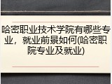 哈密职业技术学院有哪些专业，就业前景如何(哈密职院专业及就业)