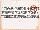 广西自然资源职业技术学院有哪些奖学金和助学金呢(广西自然资源学院奖助学金)
