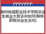 柳州铁道职业技术学院毕业生就业大致去向如何(柳铁职院毕业生去向)
