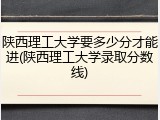 陕西理工大学要多少分才能进(陕西理工大学录取分数线)