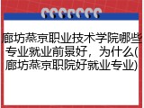 廊坊燕京职业技术学院哪些专业就业前景好，为什么(廊坊燕京职院好就业专业)