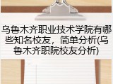 乌鲁木齐职业技术学院有哪些知名校友，简单分析(乌鲁木齐职院校友分析)