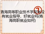 青海高等职业技术学院有没有就业指导，好就业吗(青海高职就业如何)