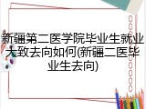 新疆第二医学院毕业生就业大致去向如何(新疆二医毕业生去向)
