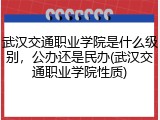 武汉交通职业学院是什么级别，公办还是民办(武汉交通职业学院性质)