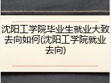 沈阳工学院毕业生就业大致去向如何(沈阳工学院就业去向)
