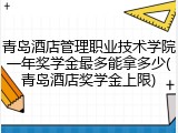 青岛酒店管理职业技术学院一年奖学金最多能拿多少(青岛酒店奖学金上限)