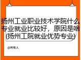 扬州工业职业技术学院什么专业就业比较好，原因是啥(扬州工院就业优势专业)