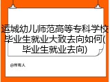 运城幼儿师范高等专科学校毕业生就业大致去向如何(毕业生就业去向)