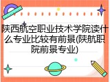 陕西航空职业技术学院读什么专业比较有前景(陕航职院前景专业)
