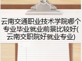 云南交通职业技术学院哪个专业毕业就业前景比较好(云南交职院好就业专业)